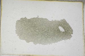 Plane Polarized, S9462