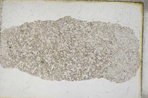 Plane Polarized, S9467