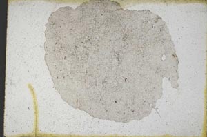 Plane Polarized, S9493