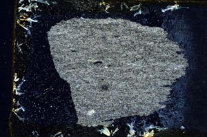 Cross Polarized, S9533