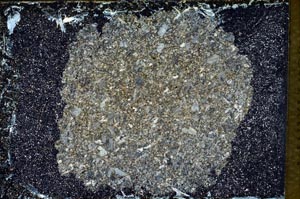 Cross Polarized, S9534