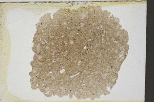 Plane Polarized, S9534