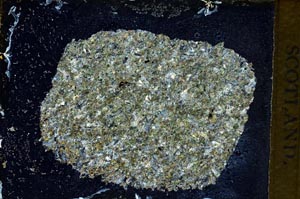 Cross Polarized, S9535