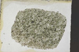 Plane Polarized, S9535