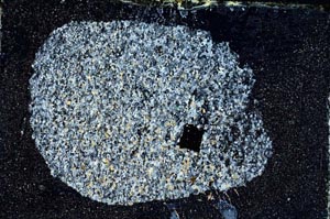 Cross Polarized, S9587