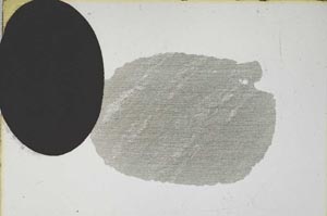 Plane Polarized, S9589/A