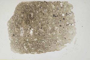 Plane Polarized, S543