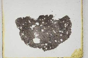 Plane Polarized, S555