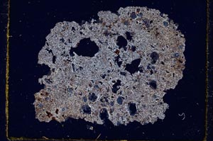 Cross Polarized, S556