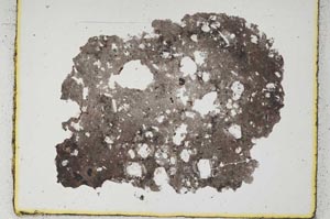 Plane Polarized, S556