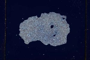 Cross Polarized, S559