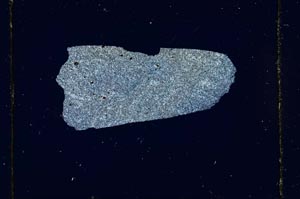 Cross Polarized, S560