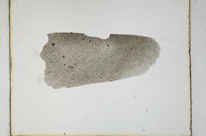 Plane Polarized, S560