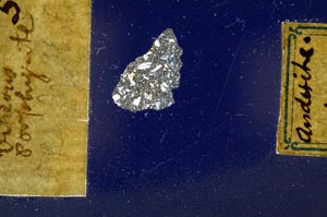 Cross Polarized, S564