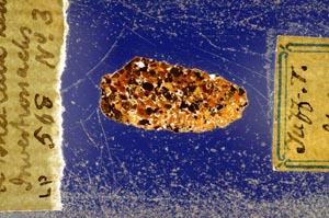 Cross Polarized, S568