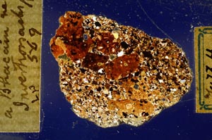 Cross Polarized, S569