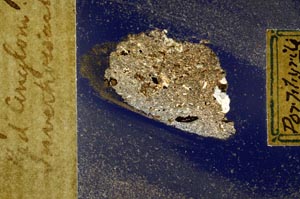 Cross Polarized, S570