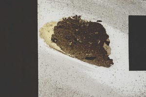 Plane Polarized, S570