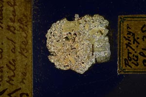 Cross Polarized, S571