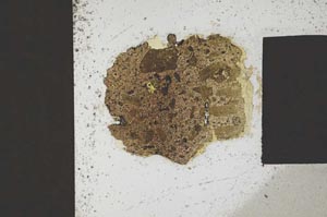 Plane Polarized, S571