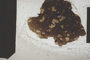 Plane Polarized, S572