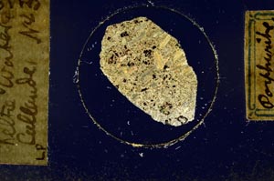 Cross Polarized, S577