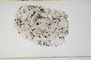 Plane Polarized, S590