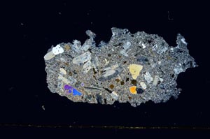 Cross Polarized, S591/A