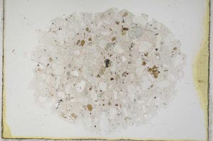 Plane Polarized, S591/B