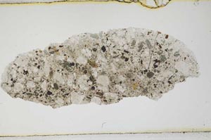 Plane Polarized, S592