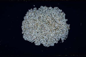 Cross Polarized, S593