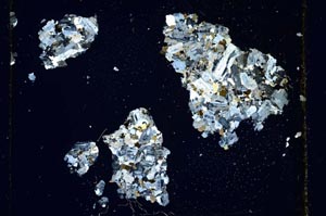 Cross Polarized, S599