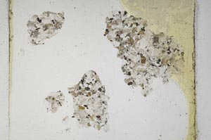 Plane Polarized, S599