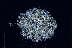 Cross Polarized, S600