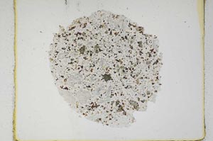 Plane Polarized, S609