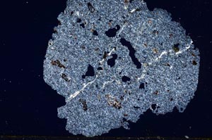 Cross Polarized, S641