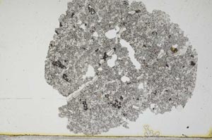 Plane Polarized, S641