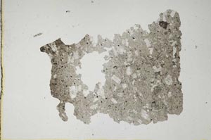 Plane Polarized, S650