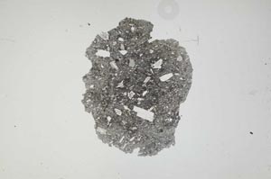 Plane Polarized, S652