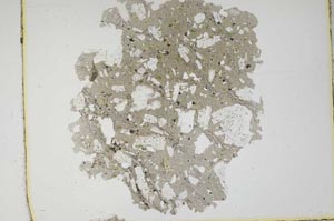 Plane Polarized, S653