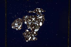 Cross Polarized, S665