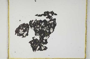 Plane Polarized, S665