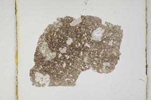 Plane Polarized, S668