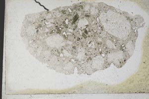 Plane Polarized, S9652