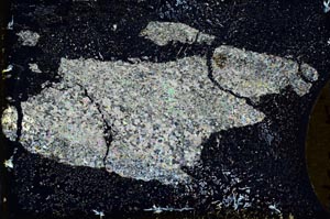 Cross Polarized, S9670