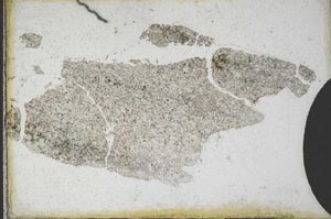 Plane Polarized, S9670