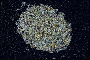 Cross Polarized, S9684