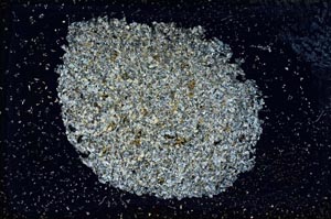 Cross Polarized, S9685