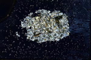 Cross Polarized, S9686