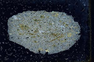 Cross Polarized, S9687